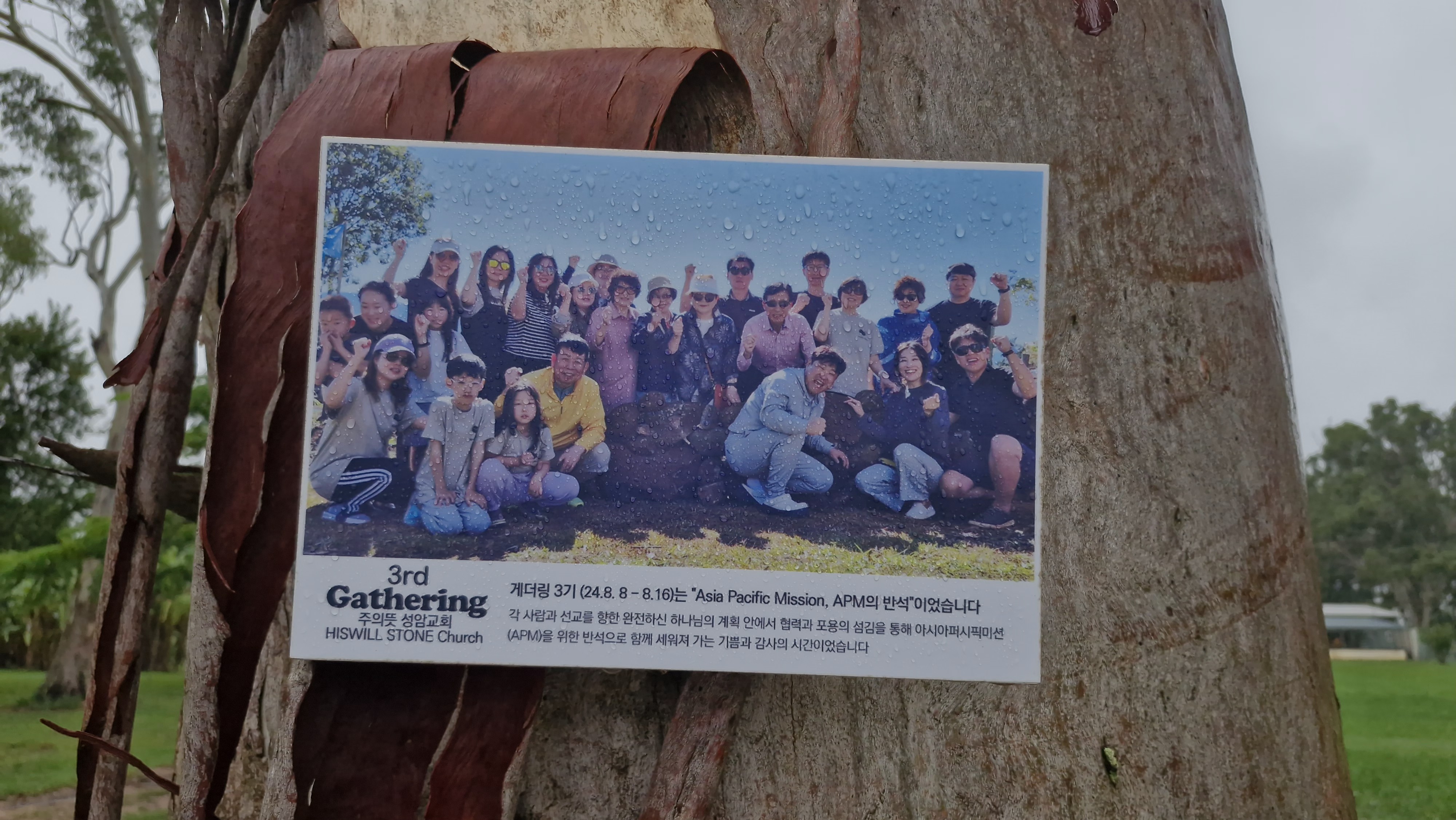 Gathering 3