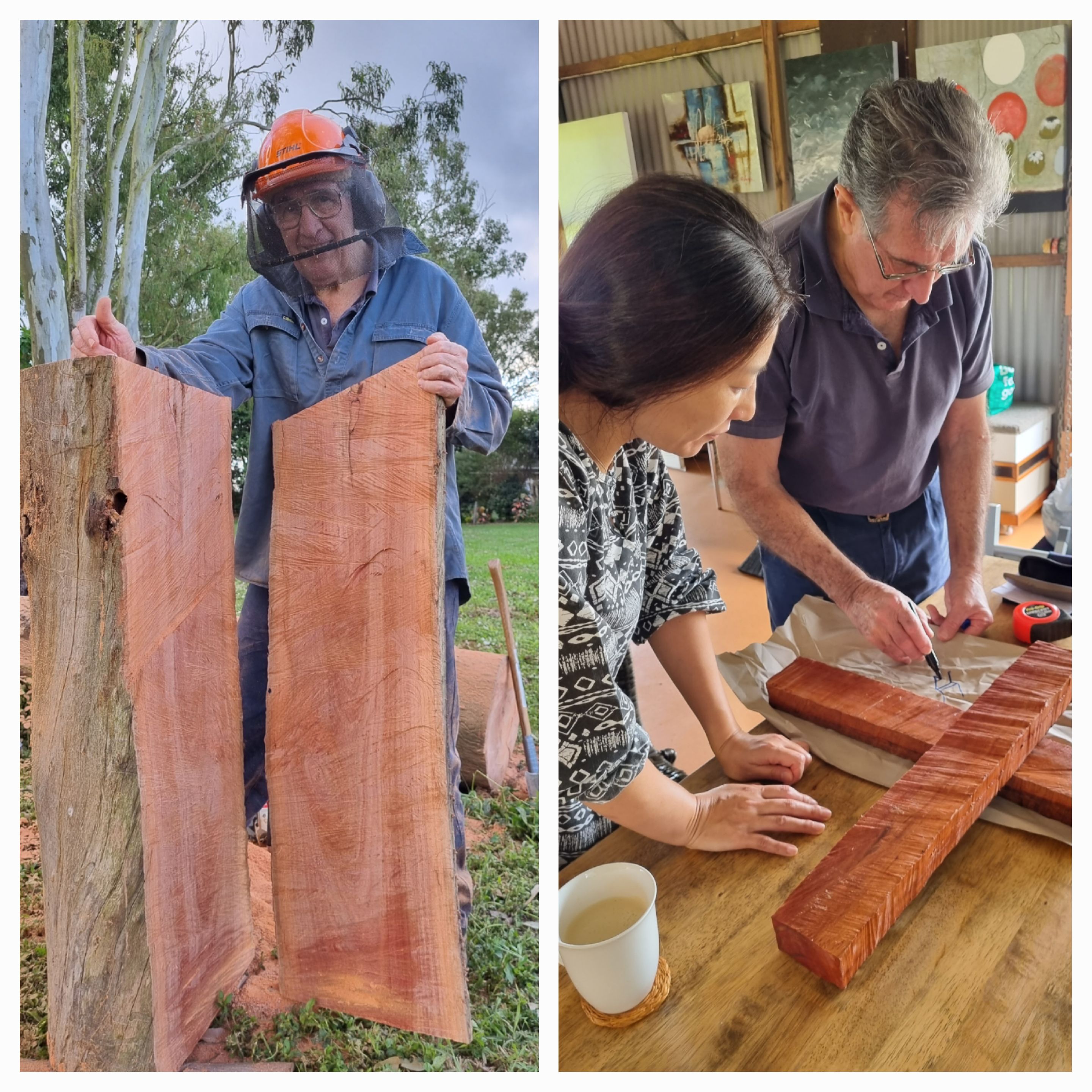 보혈나무 십자가